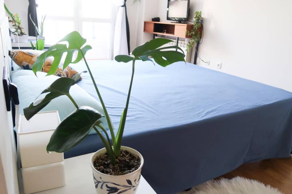 Housingleon- Casa Oliva Con Garaje Apartment Bagian luar foto